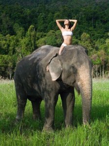 10145059-young-woman-riding-an-elephant